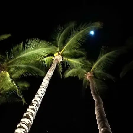 Demelza Ocean View * ラスパルマス・デ・グランカナリア